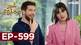 ShajareMamnu  Episode 599  Turkish Drama Forbidden Fruit  Urdu Dubbing  10 October 2023 [upl. by Wilder712]