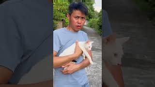 dont touch my cat đừng chạm vào con mèo của tôi👿🐈catcatlover foryou meow kitten trending [upl. by Feodora]