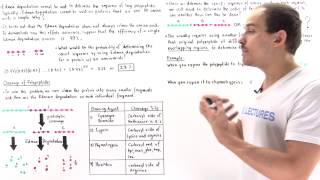 Sequencing Amino Acids by Proteolytic Cleavage [upl. by Annoled190]