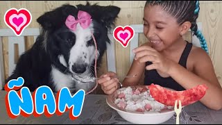 Le doy de comer a mi perro Aymara [upl. by Tonjes]