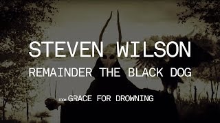 Steven Wilson  Remainder the Black Dog Studio Version [upl. by Sheilah215]