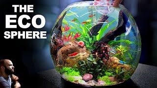 NO FILTER Ecosphere Bowl for Nano Fish Shrimp amp Snails [upl. by Yelhsa]