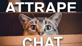 ATTRAPE CHAT [upl. by Digdirb]