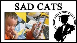 Kids Are Crying Over AI Sad Cat Videos [upl. by Sosthenna]