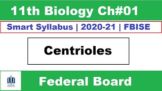 Centrioles Structure and Function Class 11 Biology Ilmi Stars Academy [upl. by Nesila576]