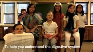 The Digestive System Song [upl. by Andriette]