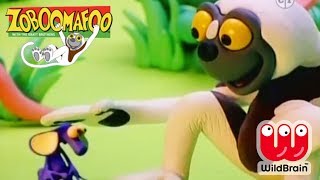 Zoboomafoo  Episode Making Friends With Pets  Animals For Kids [upl. by Mori]