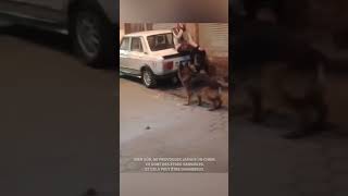 La meilleure façon déchapper à un chien 😂❤️ [upl. by Berkin]