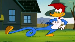 Woodys New Super Powers  1 Hour of Woody Woodpecker Full Episodes [upl. by Assetniuq]