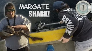 Margate Jetty DRAUGHTBOARD SHARK  FROM THE VAULT 1 [upl. by Ahsrop]