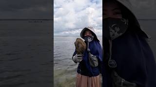 NEMU KERANG DALAM KERANG‼️mamahnada balikpapansudah ngeshortsbareng [upl. by Seira]