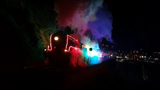 Dartmouth Steam Railway Train of Lights November 2021 [upl. by Jerald]