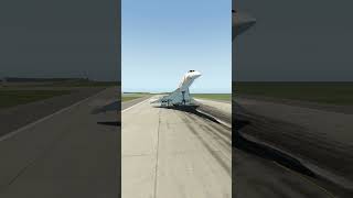 Concorde landing pilot cant see runway simulated [upl. by Neale]