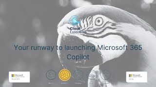 Your runway to a successful Microsoft 365 Copilot launch [upl. by Ardnas31]