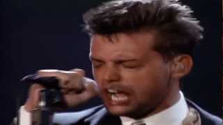 Luis Miguel  Alguien Como Tú HD  5 de 19  EL CONCIERTO [upl. by Gussie]