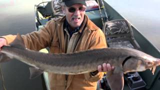 The First Ever Recorded Sturgeon Caught In The Hiwassee River [upl. by Howe]