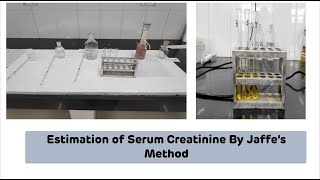 Estimation of Serum Creatinine By Jaffes Method on Colorimeter  Biochemistry Practical [upl. by Hametaf]