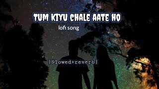 tum kiyu chale aate ho lofi version song 2024  Slowedreverb [upl. by Aira408]