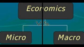 The difference between Microeconomics and Macroeconomics [upl. by Malarkey555]