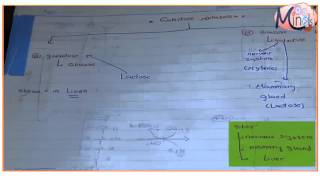 Uronic acid pathway and galactose metabolism [upl. by Fisher547]