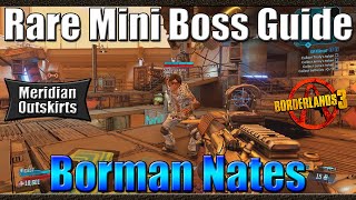 Borderlands 3  Rare Mini Boss Spawn Guide  Borman Nates  Meridian Outskirts [upl. by Rudolfo245]