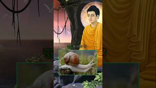 गौतम बुद्ध के बालो का रहस्य  Why are there snails on Buddhas head  wisdom buddha shorts [upl. by Laure]