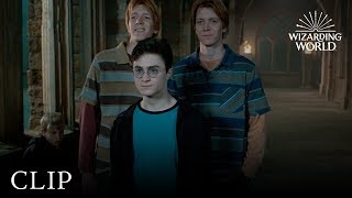 Fred and George Hatch a Plan  Harry Potter and the Order of the Phoenix [upl. by Gainor]