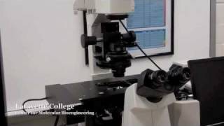 Nikon Ti Eclipse Confocal Microscope  Fluorescence Imaging [upl. by Parnas]