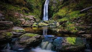 ŞELALE VE KUŞ SESLERİ  RAHATLATICI DOĞA SESLERİ  WATERFALL AND BIRDS VOICE [upl. by Yendahc]