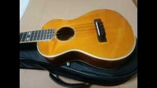 Canario  Kapsberger  Ukulele [upl. by Cir]