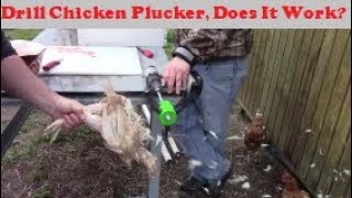 How Good Does This Drill Chicken Plucker Work Power Plucker [upl. by Hay]