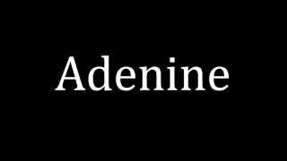 How to pronounce Adenine [upl. by Oirtemed]