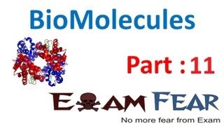 Chemistry Biomolecules part 11 Disaccharides sucrose maltose lactose CBSE class 12 XII [upl. by Otrebile901]