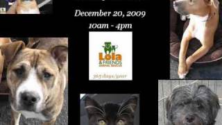 Dog amp Cat Adoption Events  Biweekly [upl. by Alit]