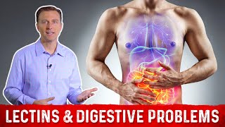 High amp Low Lectin Foods amp Digestive Problems Explained by DrBerg [upl. by Reisfield]