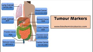 Tumour Markers  Tumour Markers Biochemistry [upl. by Namajneb]