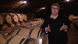 Pommard  Anne Parent explique son choix pour la viticulture bio [upl. by Demona]