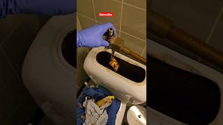 Toilet filling valve after 50 yearsToiletplumber [upl. by Cai]