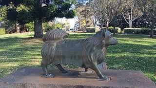 PICNIC POINT TOOWOOMBA QUEENSLAND WALK 👣 [upl. by Nealon]