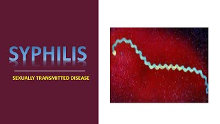 SYPHILIS II MEDICAL MICROBIOLOGY II SEXUALLY TRANSMITTED DISEASE STD [upl. by Iadrahs]