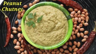 Peanut Chutney in Kannada ಕಡಲೆ ಬೀಜಶೇಂಗಾ ಚಟ್ನಿ kadalebeeja chutney recipe in Kannada  Rekha Aduge [upl. by Ajile301]