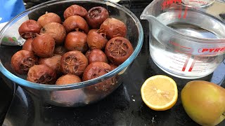 MEDLARS  Making Medlar jelly from my own home grown fruits for the first time ever [upl. by Claudy]