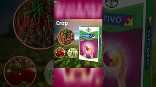 nativo fungicide buyer  short shorts nativo agriculture viral [upl. by Inaoj]