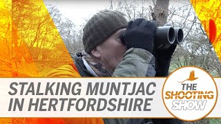 The Shooting Show  Muntjac stalking and a corvid control double header [upl. by Anirol502]