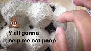 UNBOXING a bunch of POOPEATING BEETLES  No not Dung Beetles [upl. by Neall223]