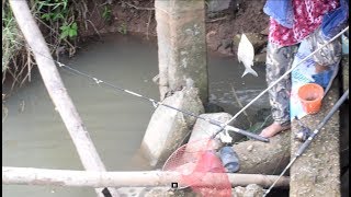 Net fishing  Catching Fish in savannakhet  laos [upl. by Shela]