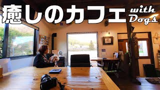 【犬OKカフェ】癒しのカフェは優しくて美味しくて居心地よくてわんこファーストなカフェでした│山カフェななかまど│ [upl. by Latsirc595]