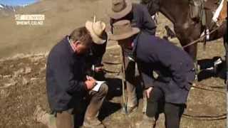 3 News Campbell Live Spring muster on NZs largest farm  Molesworth Station [upl. by Yeslaehc]