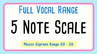 Vocal Warm up  5 Note Scale Up and Down  Mezzo Soprano [upl. by Leonore]