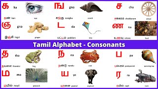 Learn Tamil Lesson 3  Consonants Mei Ezhuthukkal [upl. by Gnilsia]